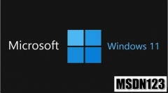 <b>MSDN Windows11 64位简体中文原版ISO镜像下载</b>