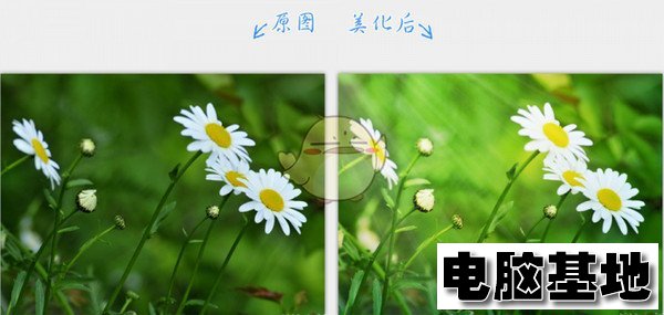 2345看图王官方版