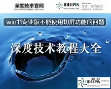 深度技术win11专业版不能使用切屏功能的问题